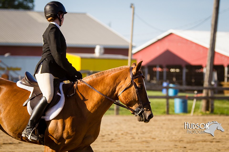 4H-FUN-060714-1854.jpg
