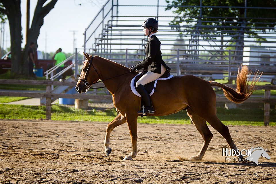 4H-FUN-060714-1858.jpg