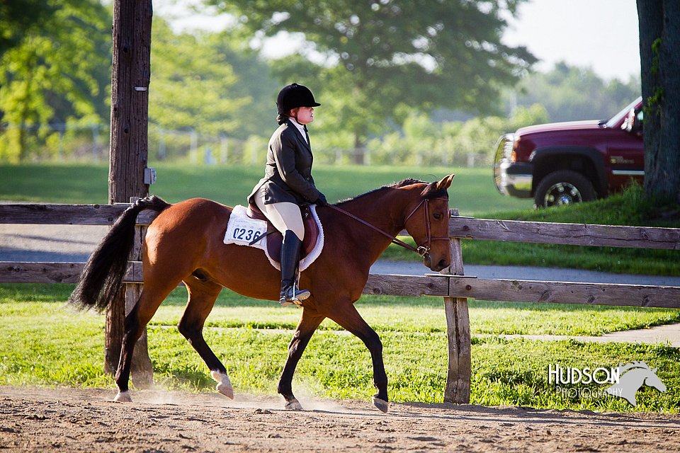 4H-FUN-060714-1864.jpg