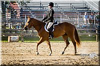 4H-FUN-060714-1857.jpg