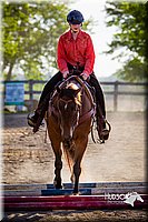 4H-FUN-060714-1915.jpg