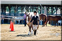 02 Open Showmanship Intermediate