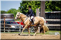 16 Classic Hunter Under Saddle Horse  Sr. Rider