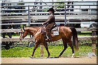 33 Western Pleasure Pony