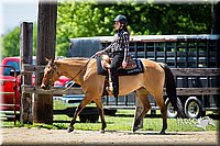 34 Western Pleasure Horse  Jr. Rider