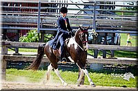 43 Saddle Seat Equitation