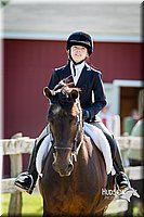 48 Beginner Hunt Equitation