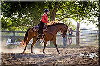 58 Western Working Horse Pony