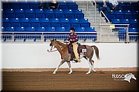 4H-State-102514-0621.jpg