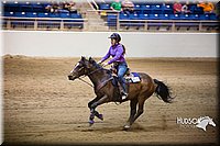 17. Raised Box Keyhole Horse - Sr. Rider