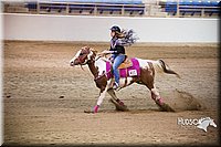 14 . Raised Box Keyhole Ponies - Jr. Rider