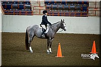 68. Hunter Seat Equitation (on the flat) - Intermediate