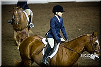 59. Hunter Under Saddle Ponies - (over 13 hds. & not over 14.2 hds.)