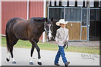 4H-1st-0807.jpg