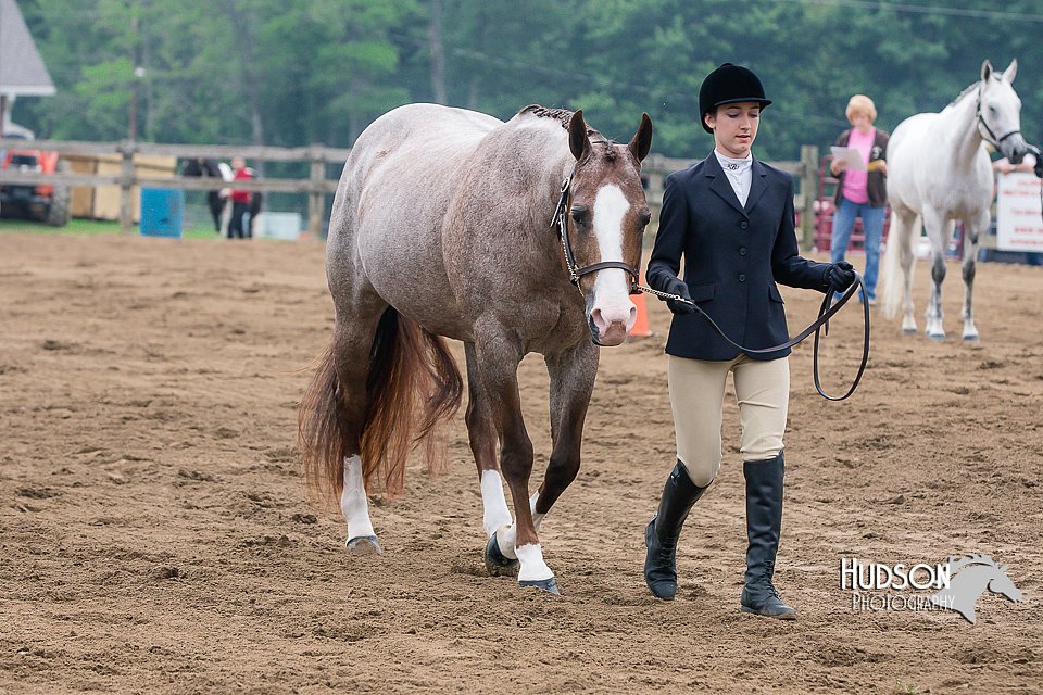 4H-1st-0868.jpg