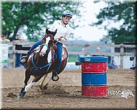 12. Clover Leaf Barrels Horse - Jr. Rider