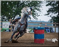 13. Clover Leaf Barrels Horse - Sr. Rider