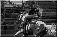 14. Cut Back, Ponies - Jr. Rider