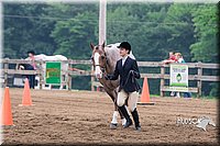 19. English Grooming & Showmanship -Intermediate Division