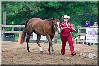 22. Western Grooming & Showmanship -Intermediate Division