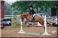 35. Hunter Hack Horses