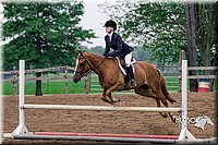 38. Low Working Hunter Horses