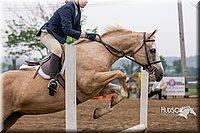 42. Low Equitation Over Fences - Jr. Rider