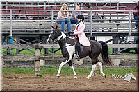 52. Saddle Seat Pleasure, Non-trotting