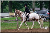 54. Classic Hunter Under Saddle Horses - Sr. Rider