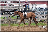 57. Breed Type Hunter Under Saddle Horses - Jr. Rider