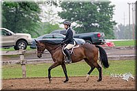 59. Hunter Under Saddle Ponies - Large