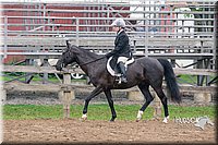 66. Beginner English Equitation