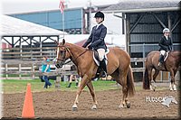 67. Hunter Seat Equitation (on the flat) - Sr. Division