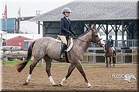 68. Hunter Seat Equitation (on the flat) - Intermediate