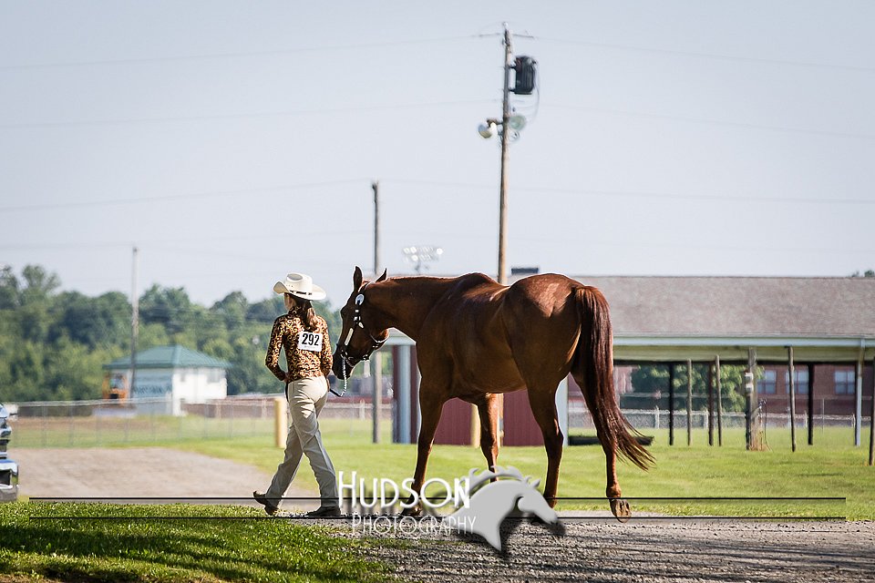 4H-2nd-071115-0933.jpg