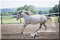 4H-2nd-071115-1836.jpg
