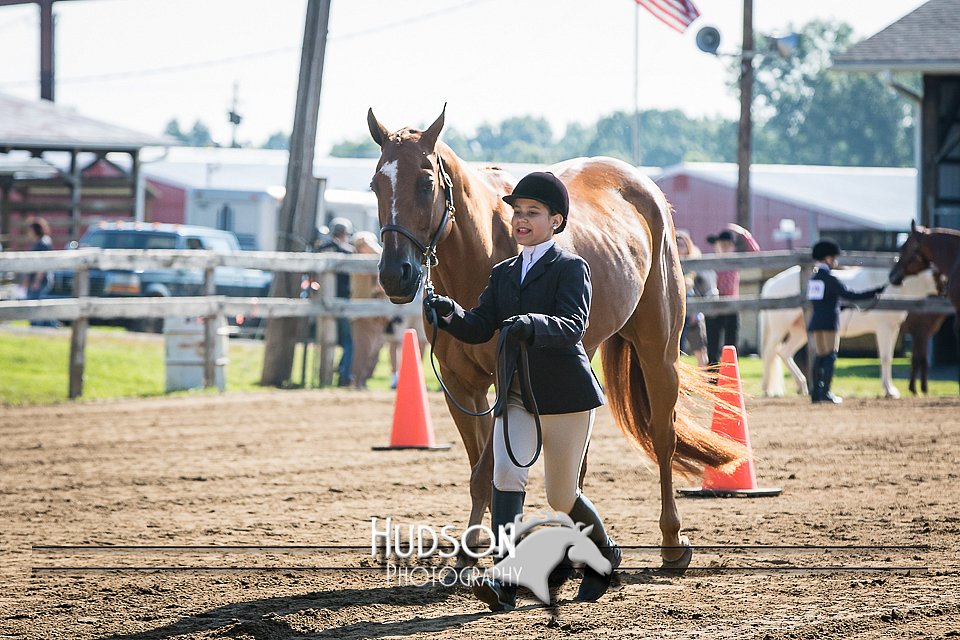 4H-2nd-071115-0765.jpg