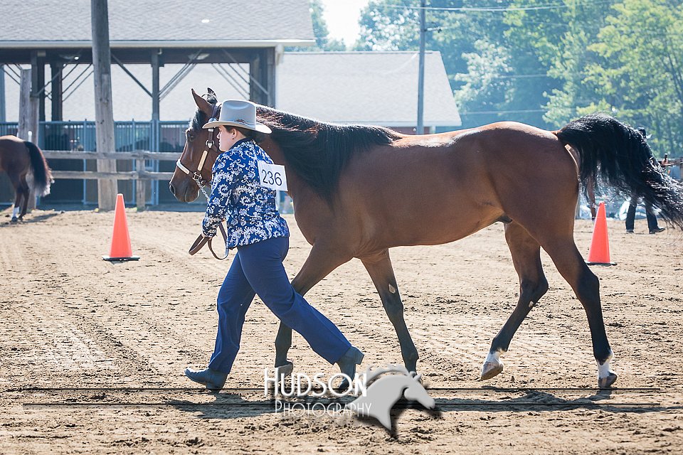 4H-2nd-071115-0814.jpg