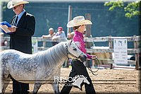4H-2nd-071115-0869.jpg