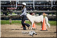 4H-2nd-071115-1010.jpg