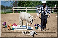 4H-2nd-071115-1018.jpg