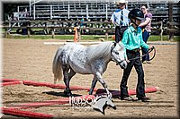 4H-2nd-071115-1049.jpg