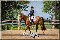 4H-2nd-071115-1174.jpg