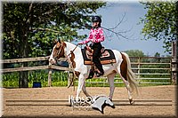 4H-2nd-071115-1185.jpg