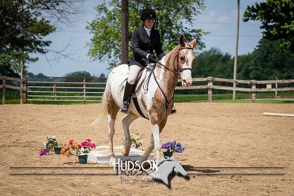 4H-2nd-071115-1297.jpg