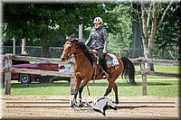 4H-2nd-071115-1501.jpg