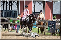 4H-2nd-071115-1519.jpg