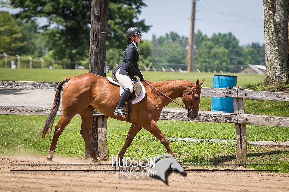 4H-2nd-071115-1584.jpg