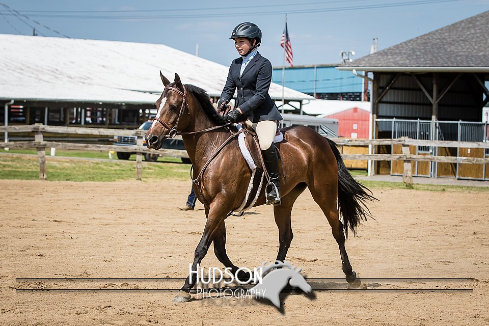 4H-2nd-071115-1765.jpg