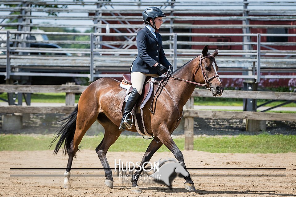 4H-2nd-071115-1768.jpg